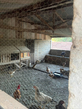 Imagem Chácara à Venda, 3 m² em São José Do Rio Pardo Imagem Chácara à Venda, 3 m² em São José Do Rio Pardo