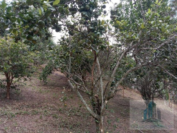 Imagem Chácara com 2 Quartos à Venda, 3.000 m² em Chácaras Vista Alegre - Arujá