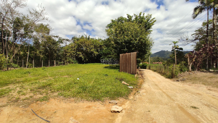 Imagem Imóvel com 3 Quartos à Venda,  em Arataca - São João Batista