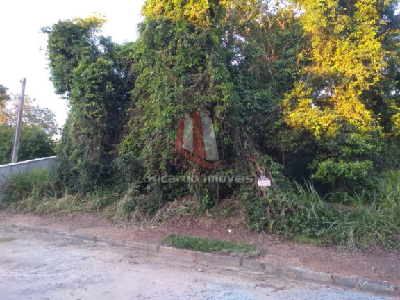 Imagem Imóvel à Venda, 450 m² em Baía Formosa - Búzios Imagem Imóvel à Venda, 450 m² em Baía Formosa - Búzios