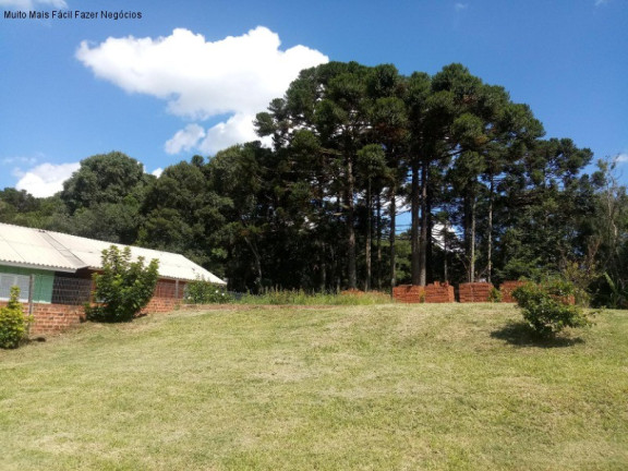 Imagem Casa com 3 Quartos à Venda, 160 m² em Linha Imperial - Nova Petrópolis Imagem Casa com 3 Quartos à Venda, 160 m² em Linha Imperial - Nova Petrópolis