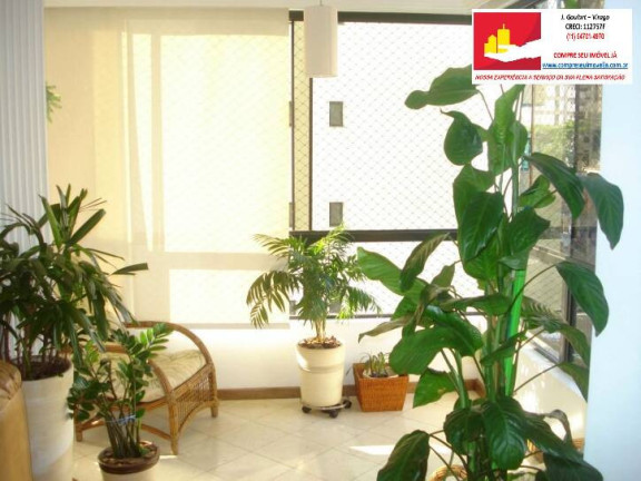 Imagem Apartamento com 4 Quartos à Venda, 170 m² em Indianópolis - São Paulo
