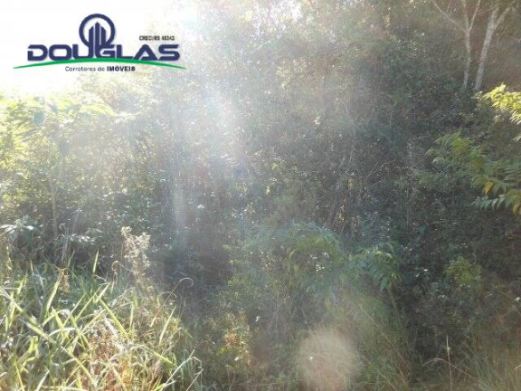 Imagem Terreno à Venda, 600 m² em águas Claras - Viamão