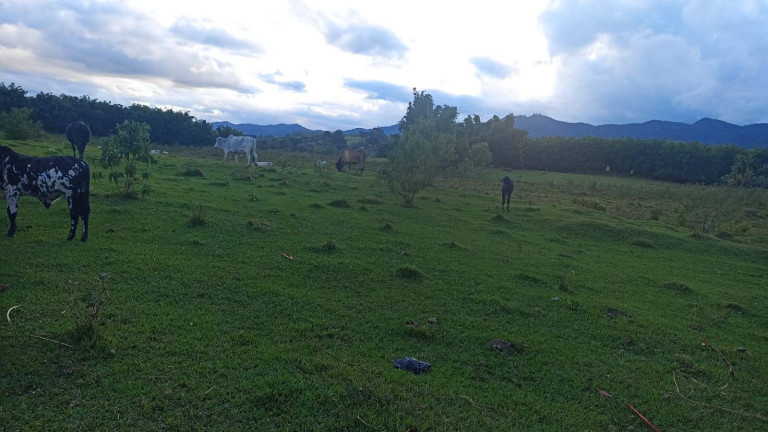 Imagem Fazenda à Venda, 100 m² em Estiva - Taubaté Imagem Fazenda à Venda, 100 m² em Estiva - Taubaté