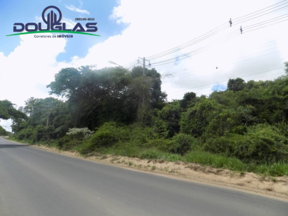 Imagem Imóvel Comercial à Venda,  em Viamão