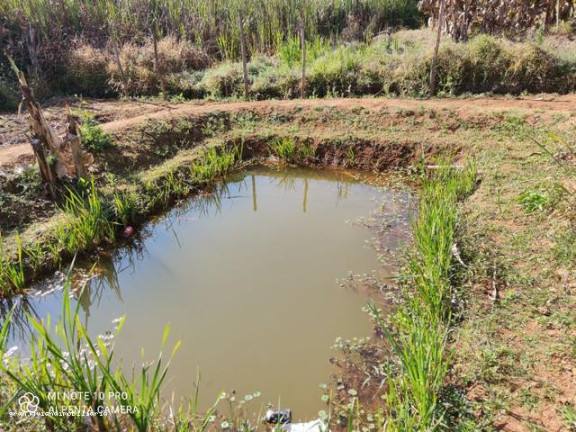 Imagem Chácara à Venda, em Bairro Do Paruru - Ibiúna Imagem Chácara à Venda, em Bairro Do Paruru - Ibiúna
