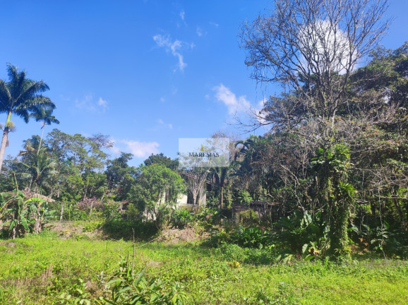 Imagem Terreno à Venda, 50.000 m² em Maresias - São Sebastião Imagem Terreno à Venda, 50.000 m² em Maresias - São Sebastião