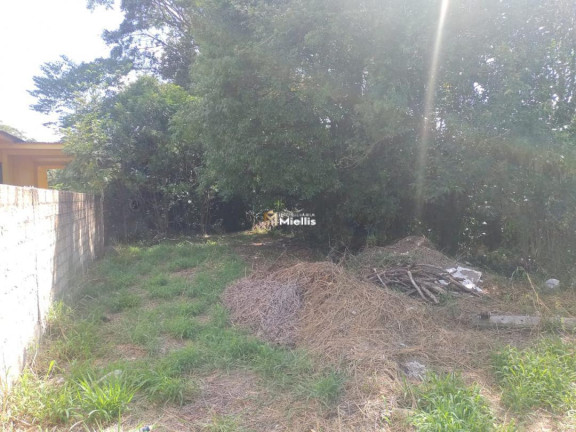 Imagem Imóvel à Venda, 20 m² em Tarumã - Viamão Imagem Imóvel à Venda, 20 m² em Tarumã - Viamão
