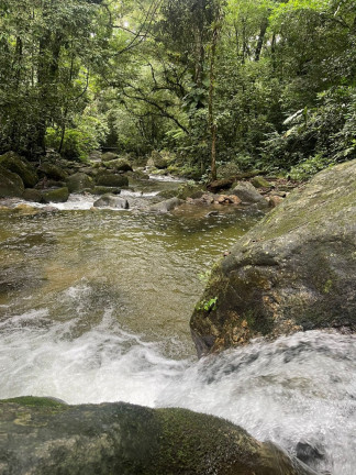 Imagem Imóvel com 5 Quartos à Venda, 20.000 m² em Maresias - São Sebastião Imagem Imóvel com 5 Quartos à Venda, 20.000 m² em Maresias - São Sebastião