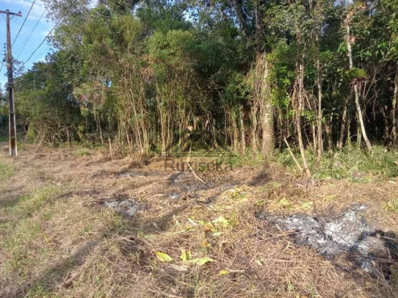 Imagem Chácara à Venda, 1.250 m² em Jardim Aguapeú - Itanhaém Imagem Chácara à Venda, 1.250 m² em Jardim Aguapeú - Itanhaém