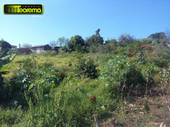 Imagem Terreno à Venda, 444 m² em Parque Limeira área Vii - Telêmaco Borba Imagem Terreno à Venda, 444 m² em Parque Limeira área Vii - Telêmaco Borba