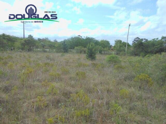 Imagem Imóvel Comercial à Venda, 3.640 m² em Morro Grande - Viamão
