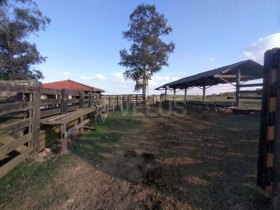 Imagem Imóvel à Venda, 242.000 m² em Santa Cruz Dos Matos - Itapetininga Imagem Imóvel à Venda, 242.000 m² em Santa Cruz Dos Matos - Itapetininga