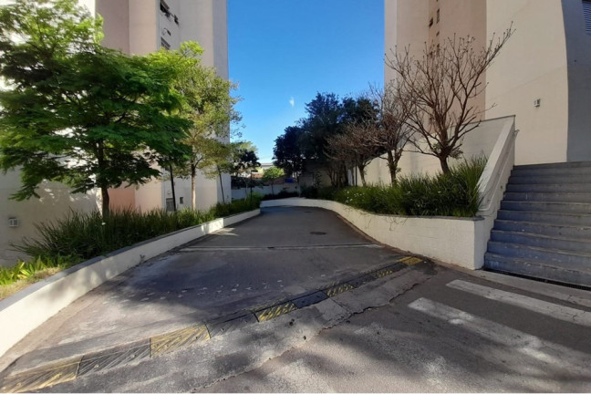 Imagem Apartamento com 2 Quartos à Venda, 43 m² em Jaraguá - São Paulo Imagem Apartamento com 2 Quartos à Venda, 43 m² em Jaraguá - São Paulo