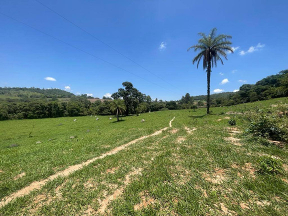 Imagem Terreno à Venda, 20.000 m² em Freitas - Itaúna Imagem Terreno à Venda, 20.000 m² em Freitas - Itaúna