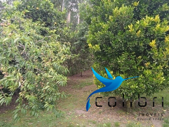 Imagem Chácara com 3 Quartos à Venda, 1.210 m² em Taboão - Agudos Do Sul Imagem Chácara com 3 Quartos à Venda, 1.210 m² em Taboão - Agudos Do Sul
