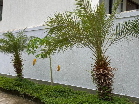 Imagem Imóvel com 3 Quartos à Venda, 552 m² em Campo Grande - Rio De Janeiro Imagem Imóvel com 3 Quartos à Venda, 552 m² em Campo Grande - Rio De Janeiro