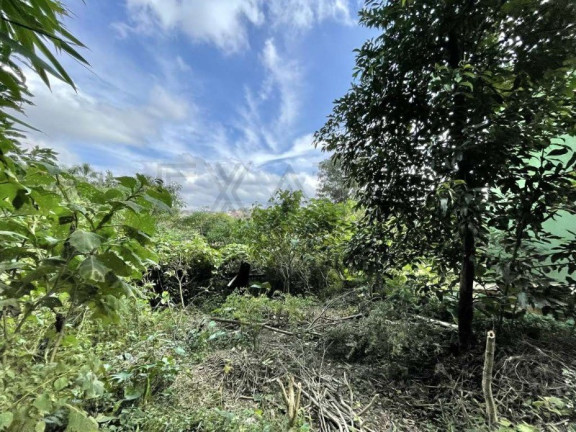 Imagem Imóvel à Venda, 907 m² em Granja Viana - Cotia Imagem Imóvel à Venda, 907 m² em Granja Viana - Cotia