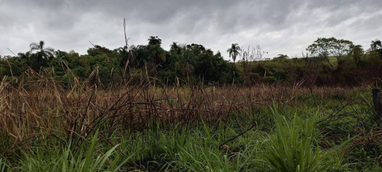 Imagem Fazenda à Venda, 3 m² em Bacaetava - Iperó Imagem Fazenda à Venda, 3 m² em Bacaetava - Iperó