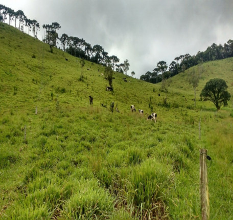 Imagem Imóvel à Venda, em Bocaina De Minas Imagem Imóvel à Venda, em Bocaina De Minas