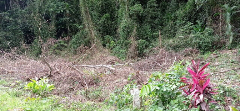 Imagem Terreno em Condomínio à Venda, 484 m² em Massaguaçu - Caraguatatuba Imagem Terreno em Condomínio à Venda, 484 m² em Massaguaçu - Caraguatatuba