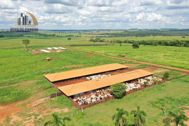 Imagem Fazenda à Venda, 18.150.000 m² em Jardim Monterey - Jales