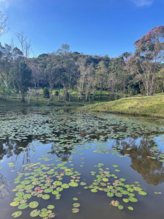 Imagem Imóvel à Venda, 44.000 m² em Areao - Natividade Da Serra Imagem Imóvel à Venda, 44.000 m² em Areao - Natividade Da Serra