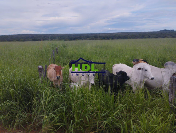 Imagem Fazenda à Venda, 487 m² em Hidrolândia