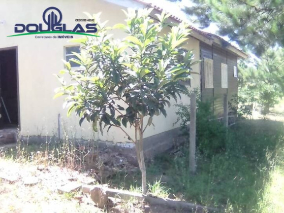 Imagem Casa com 3 Quartos à Venda, 600 m² em águas Claras - Viamão Imagem Casa com 3 Quartos à Venda, 600 m² em águas Claras - Viamão