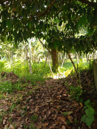 Imagem Imóvel com 1 Quarto à Venda, 5.302.500 m² em Centro - Marituba