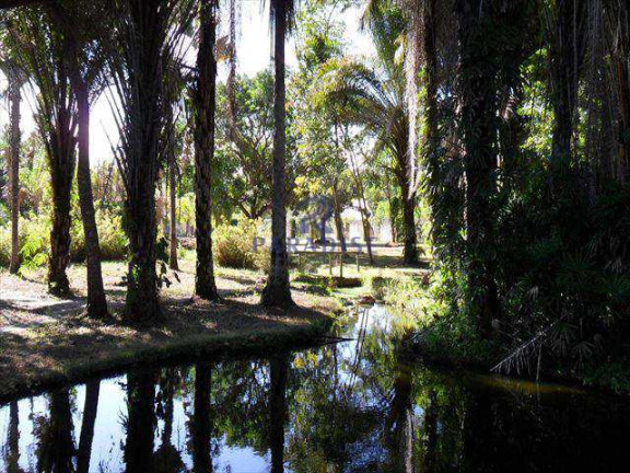 Imagem Terreno à Venda, 35.500 m² em Vila De Abrantes (abrantes) - Camaçari Imagem Terreno à Venda, 35.500 m² em Vila De Abrantes (abrantes) - Camaçari