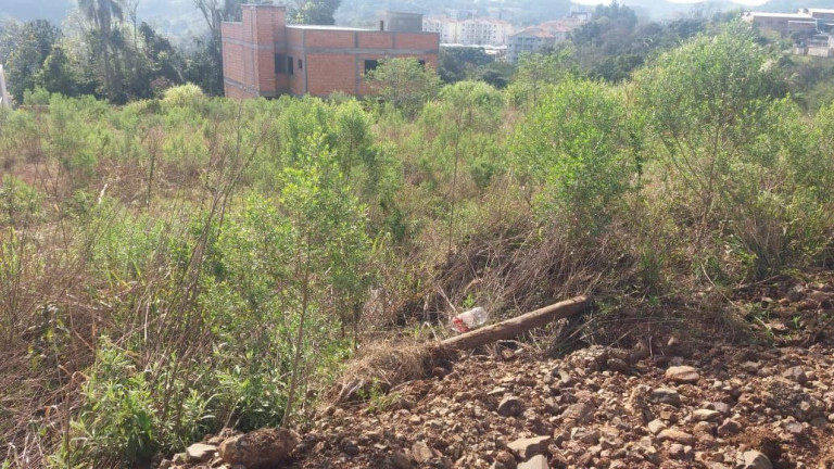 Imagem Terreno à Venda, 450 m² em Cinquentenário - Concórdia Imagem Terreno à Venda, 450 m² em Cinquentenário - Concórdia