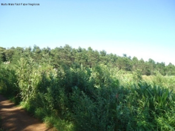 Imagem Terreno à Venda, 7 m² em Linha Imperial - Nova Petrópolis Imagem Terreno à Venda, 7 m² em Linha Imperial - Nova Petrópolis