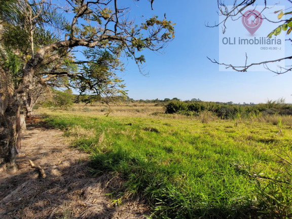 Imagem Imóvel à Venda, 97.000 m² em Bairro Soamin - Porto Feliz