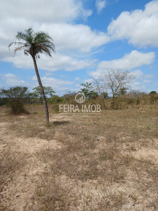 Terreno à Venda, 13.750 m² em Centro - Feira De Santana