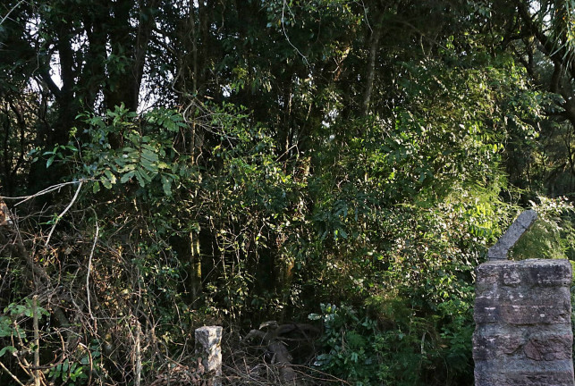 Imagem Terreno à Venda, 1.350 m² em águas Claras - Viamão
