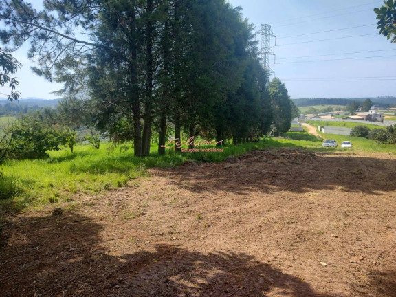 Imagem Chácara à Venda, 2.000 m² Imagem Chácara à Venda, 2.000 m²