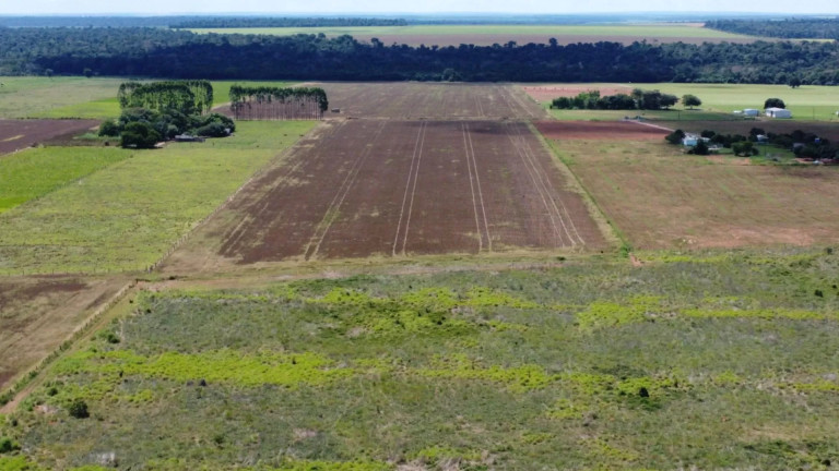 Imagem Fazenda à Venda, 1 m² em Zona Rural - Sinop Imagem Fazenda à Venda, 1 m² em Zona Rural - Sinop