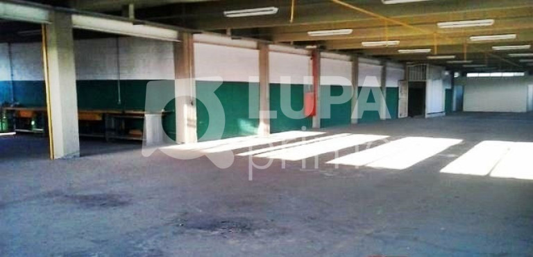 Imagem Imóvel Comercial para Alugar, 800 m² em Jardim Guanca - São Paulo Imagem Imóvel Comercial para Alugar, 800 m² em Jardim Guanca - São Paulo