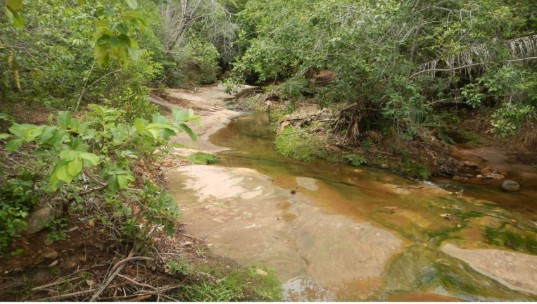 Imagem Fazenda à Venda, 3.500 m² em Rural - São Francisco Do Maranhão Imagem Fazenda à Venda, 3.500 m² em Rural - São Francisco Do Maranhão
