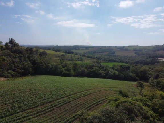 Imagem Chácara à Venda, 8 m² em Rural - São Miguel Arcanjo Imagem Chácara à Venda, 8 m² em Rural - São Miguel Arcanjo
