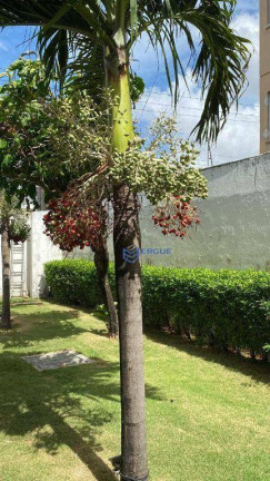 Imagem Apartamento com 3 Quartos à Venda, 70 m² em Damas - Fortaleza Imagem Apartamento com 3 Quartos à Venda, 70 m² em Damas - Fortaleza