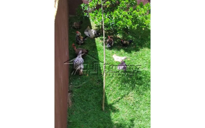 Imagem Imóvel com 3 Quartos à Venda, 1.060 m² em Arujá - Arujá Imagem Imóvel com 3 Quartos à Venda, 1.060 m² em Arujá - Arujá