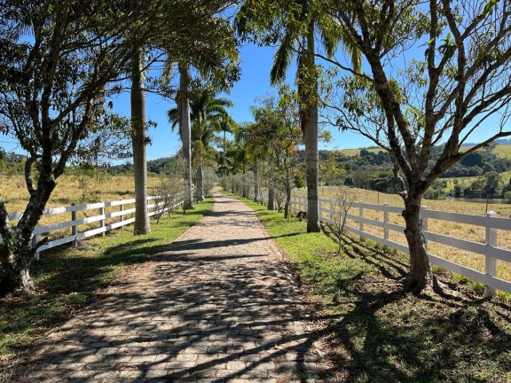Imagem Fazenda à Venda, 300.000 m² em Santana - Bragança Paulista Imagem Fazenda à Venda, 300.000 m² em Santana - Bragança Paulista
