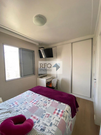 Imagem Imóvel com 3 Quartos à Venda, 62 m² em Cambuci - São Paulo Imagem Imóvel com 3 Quartos à Venda, 62 m² em Cambuci - São Paulo