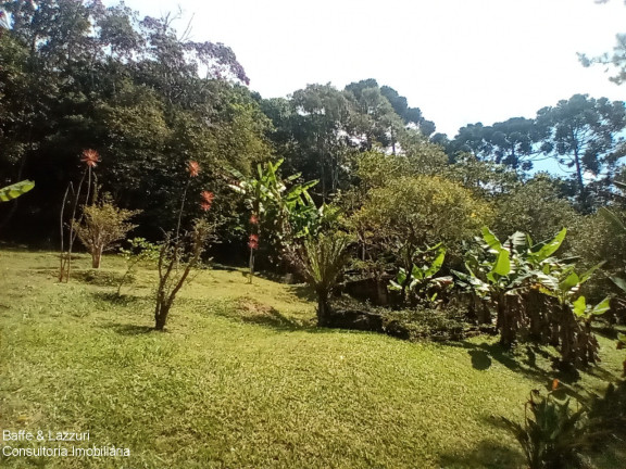 Imagem Imóvel com 2 Quartos à Venda, 5.315 m² em Tatetos - São Bernardo Do Campo Imagem Imóvel com 2 Quartos à Venda, 5.315 m² em Tatetos - São Bernardo Do Campo