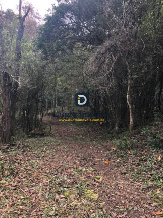 Imagem Chácara à Venda, 170.000 m² em Boca Do Monte - Santa Maria
