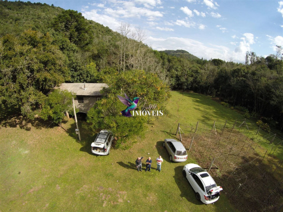 Imagem Imóvel à Venda, 240.000 m² em Linha Forqueta - Gramado Imagem Imóvel à Venda, 240.000 m² em Linha Forqueta - Gramado