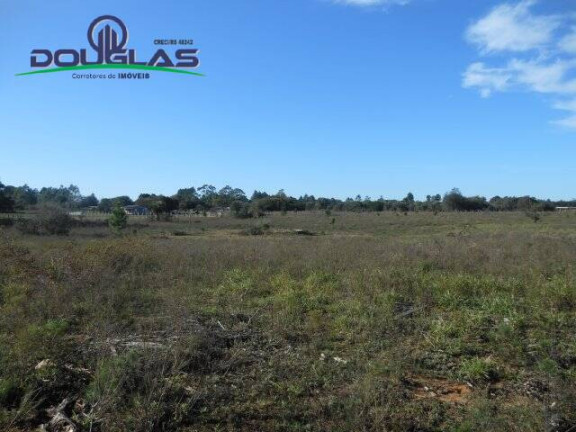 Imagem Terreno à Venda, 600 m² em águas Claras - Viamão