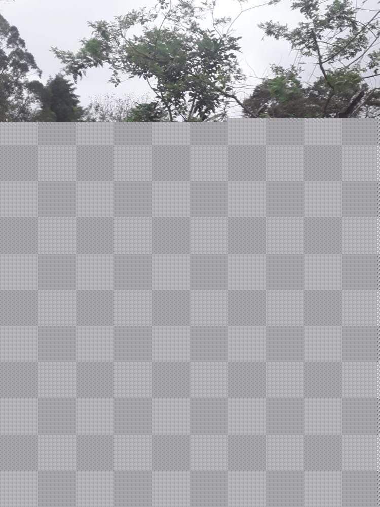 Imagem Terreno à Venda, 1.600 m² em Caete (mailasqui) - São Roque